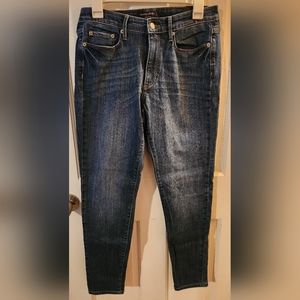 Banana Republic Factory Curvy Skinny Jean